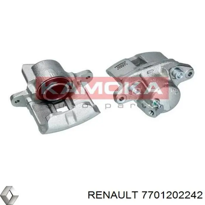 7701202242 Renault (RVI)