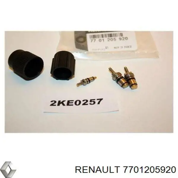  Renault (RVI) 7701205920 цена, от 33.79 USD