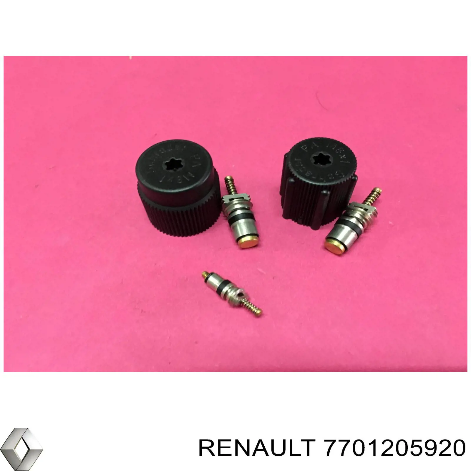  7701205920 Renault (RVI)