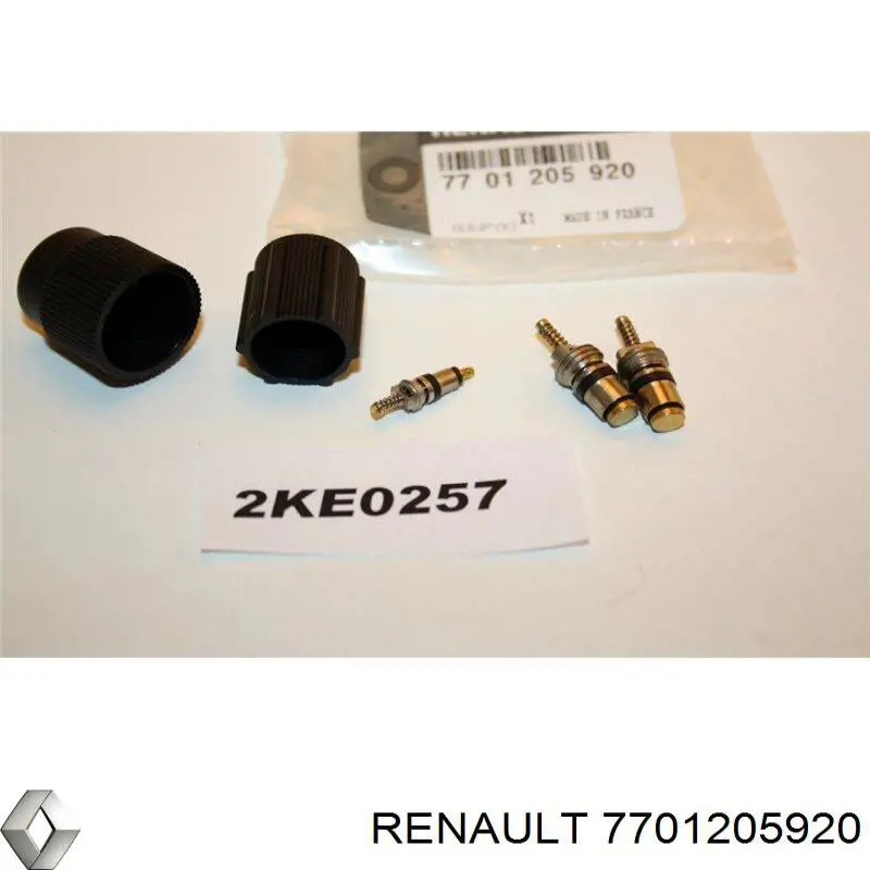 Купить 7701205920 Renault (RVI) 
