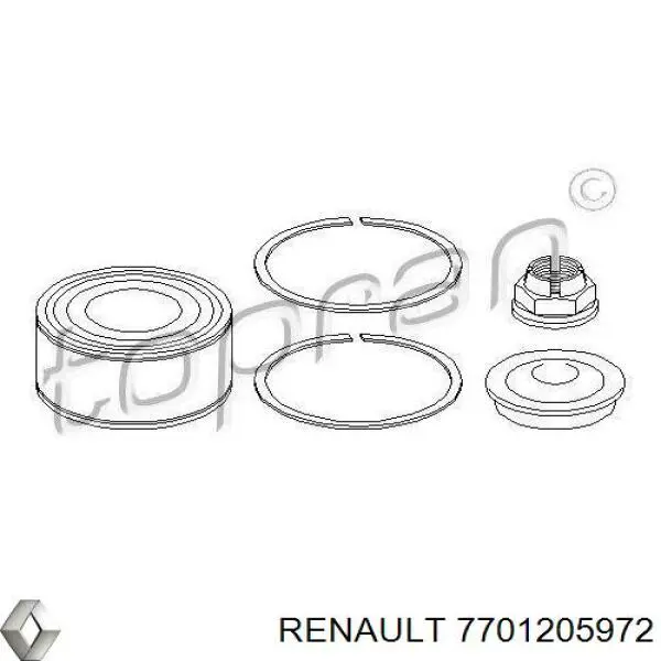 Подшипник ступицы 7701205972 Renault (RVI)