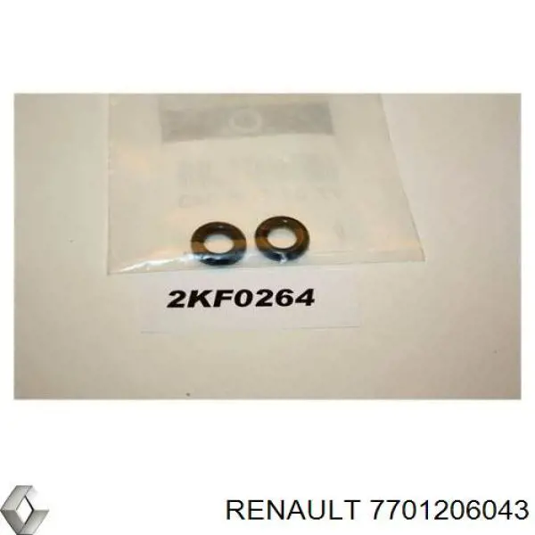 7701206043 Renault (RVI) anel (arruela do injetor de ajuste)