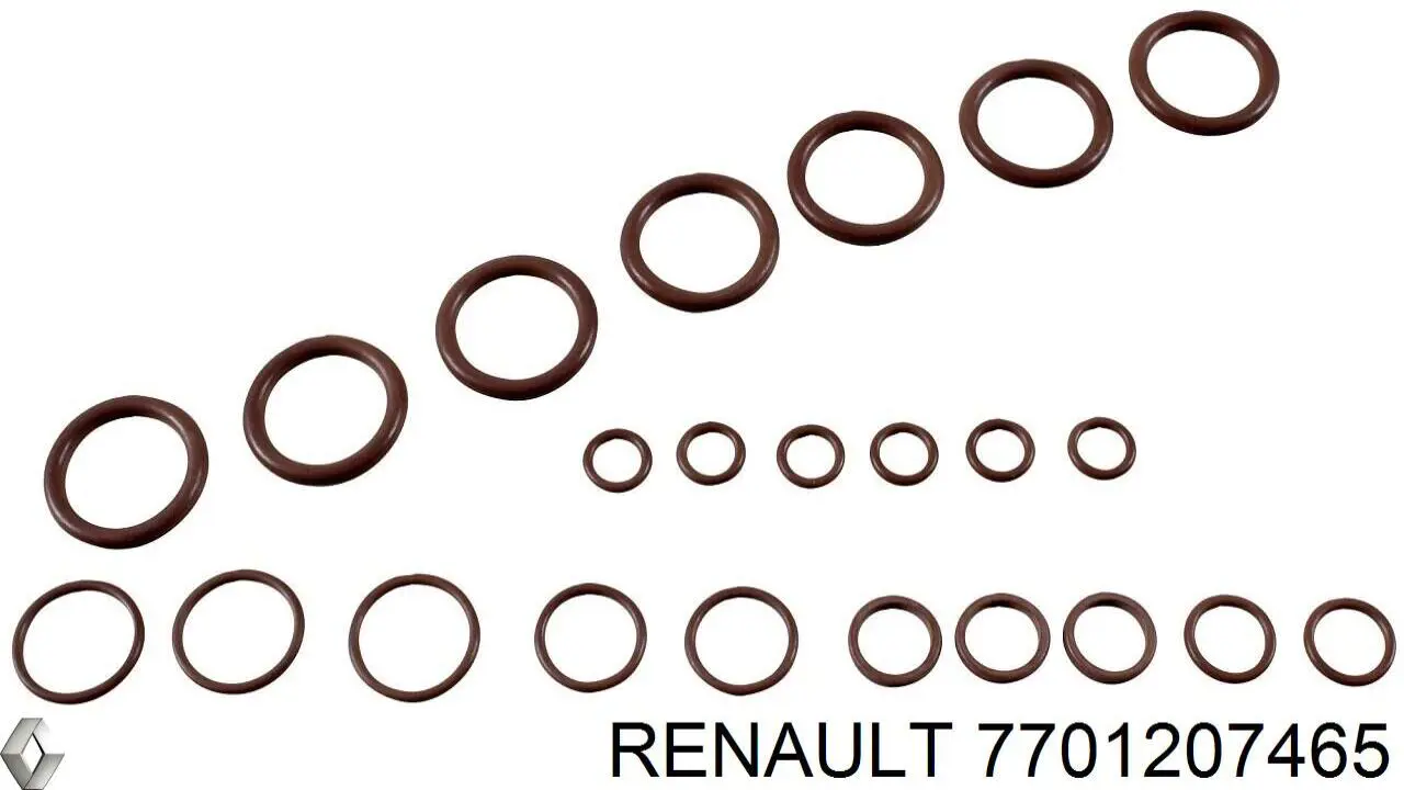 Ремкомплект компрессора кондиционера 7701207465 Renault (RVI)