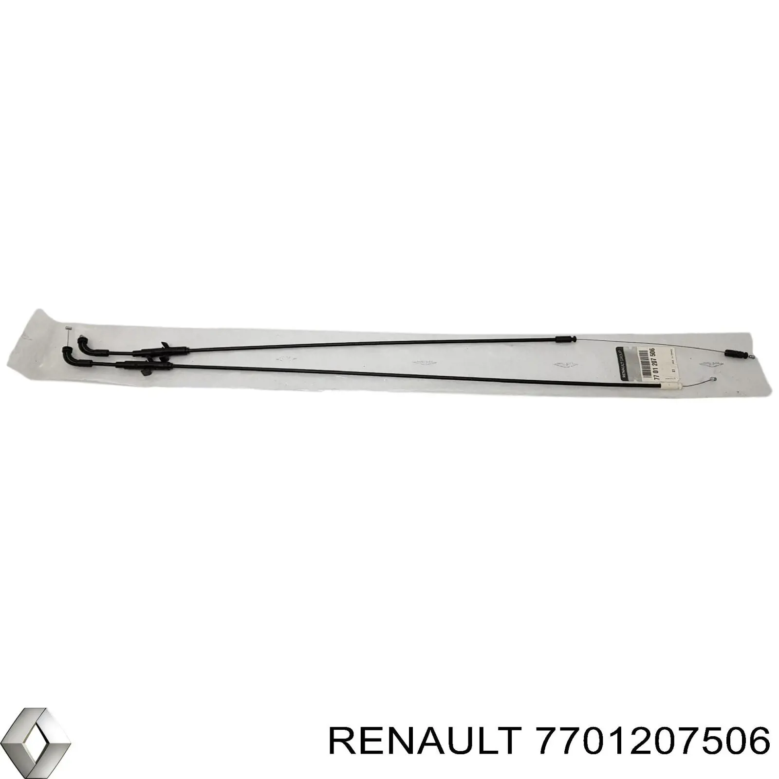  7701207506 Renault (RVI)