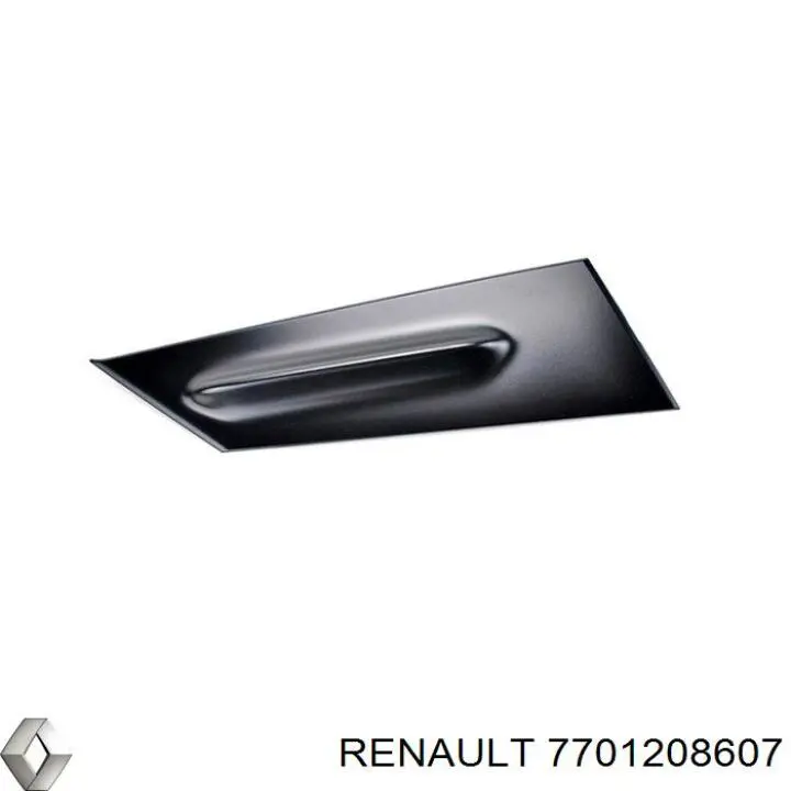  7701208607 Renault (RVI)