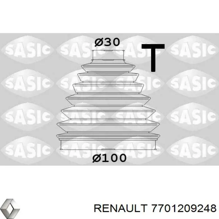 Пыльник ШРУСа наружный 7701209248 Renault (RVI)