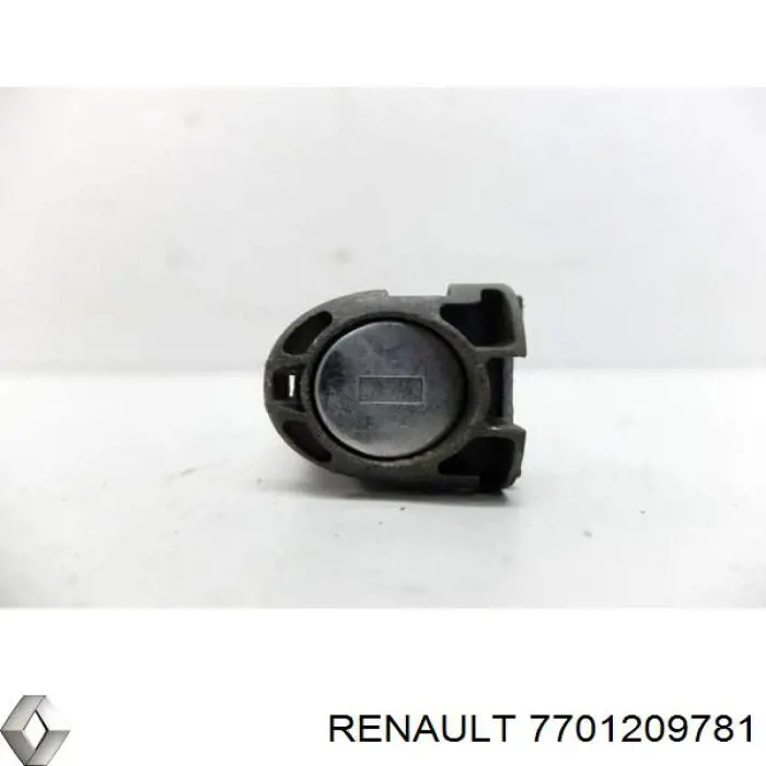  7701209781 Renault (RVI)