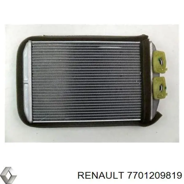 7701209819 Renault (RVI)