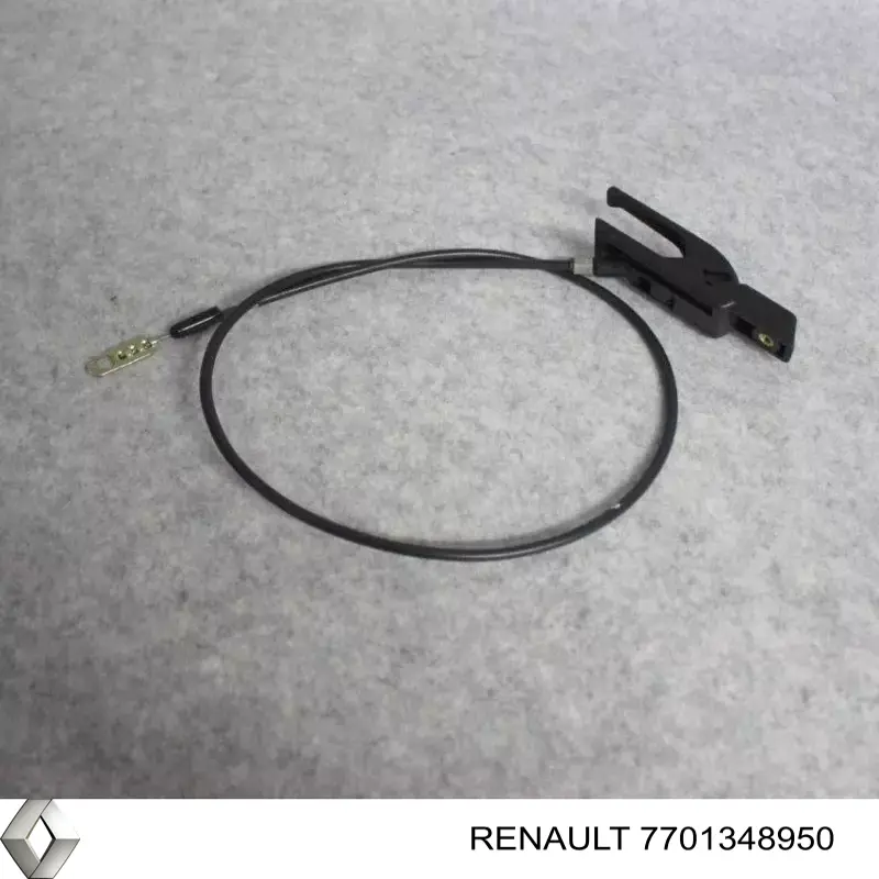 7701348950 Renault (RVI) 