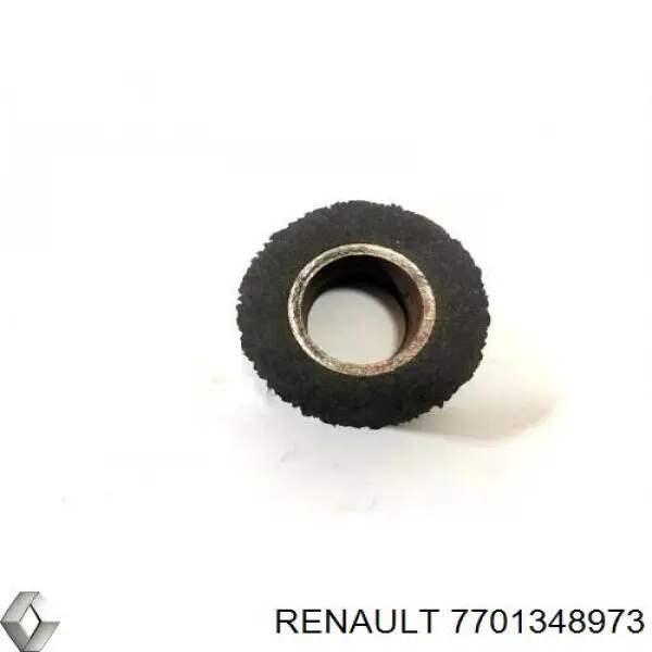 7701348973 Renault (RVI)