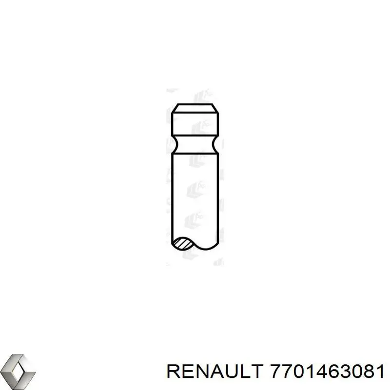 7701463081 Renault (RVI)