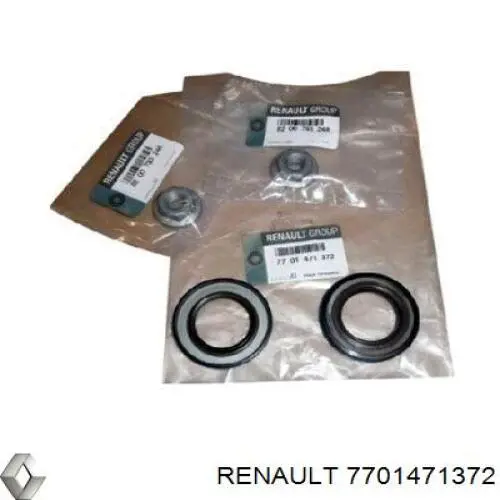 Aniloo, Boquilla de turbina 7701471372 Renault (RVI)