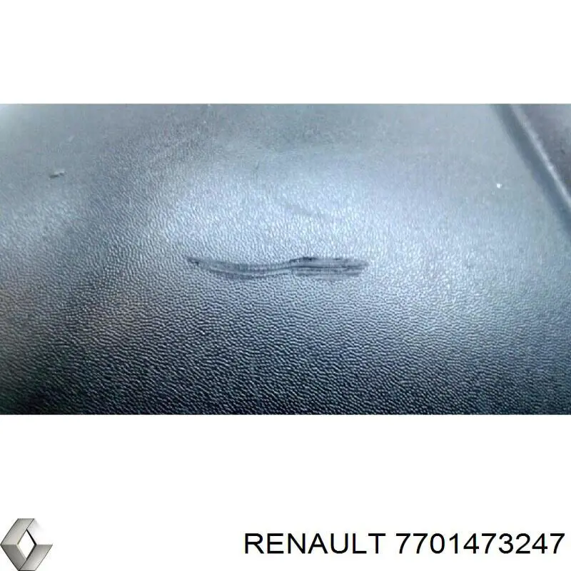 Купить 7701473247 Renault (RVI) Боковое зеркало заднего вида правое