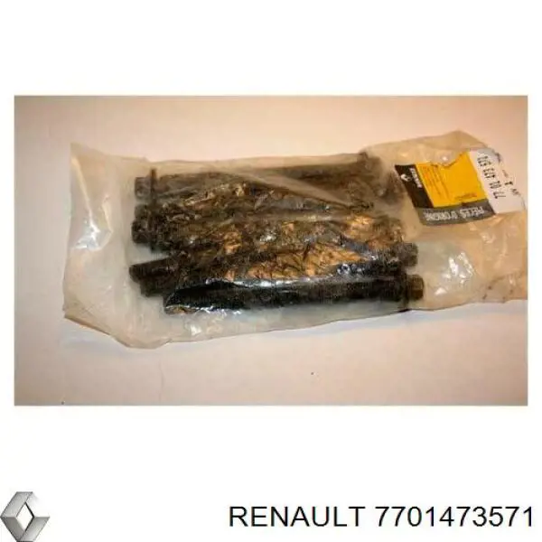 7701473571 Renault (RVI) parafuso de cabeça de motor (cbc)