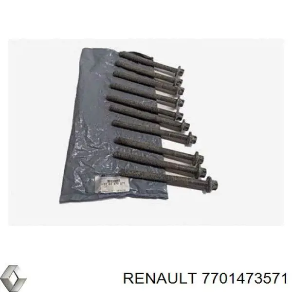 Болт головки блока цилиндров, ГБЦ Renault (RVI) 7701473571 цена, от 44.42 USD
