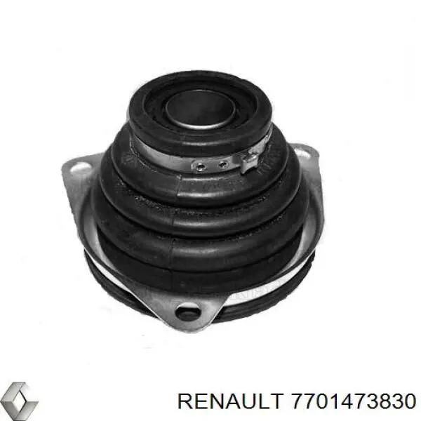 7701473830 Renault (RVI)