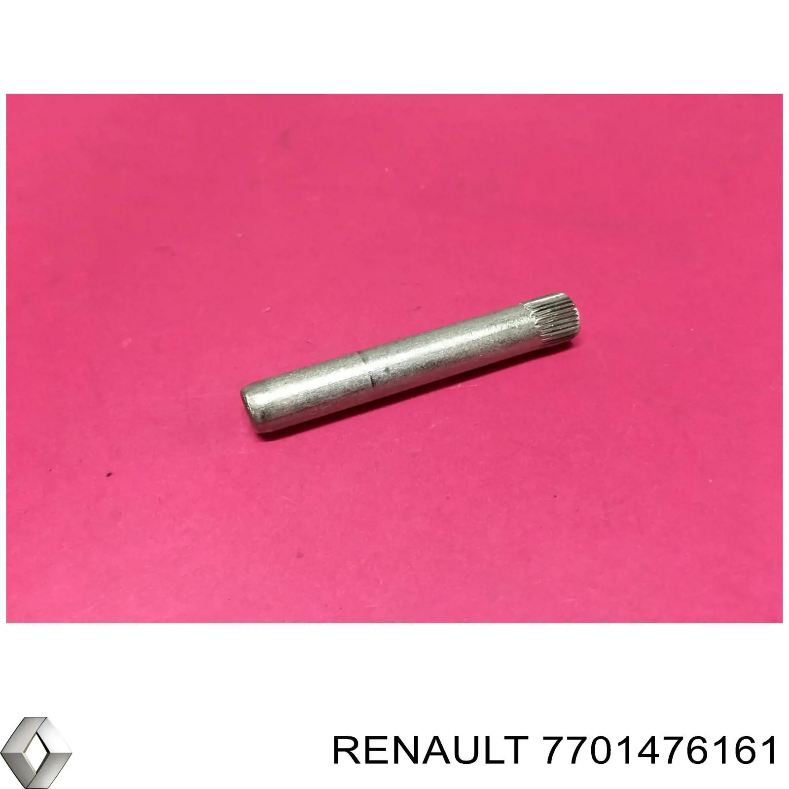 Петля двери задней (распашной) 7701476161 Renault (RVI)