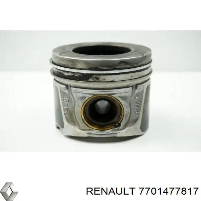 Pistón completo para 1 cilindro, STD 7701477817 Renault (RVI)