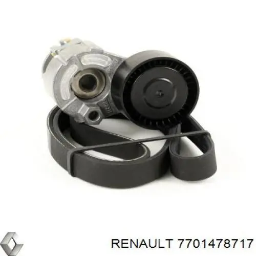 Ремень агрегатов приводной, комплект Renault (RVI) 7701478717 цена, от 56.37 USD