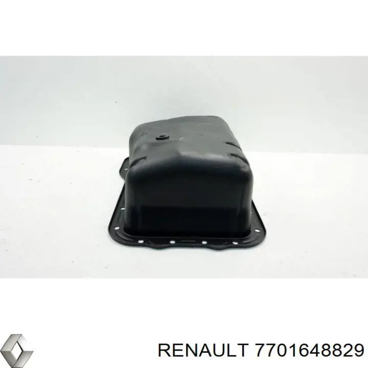 7701648829 Renault (RVI)