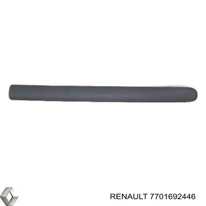 Купить 7701692446 Renault (RVI) Молдинг двери задней правой