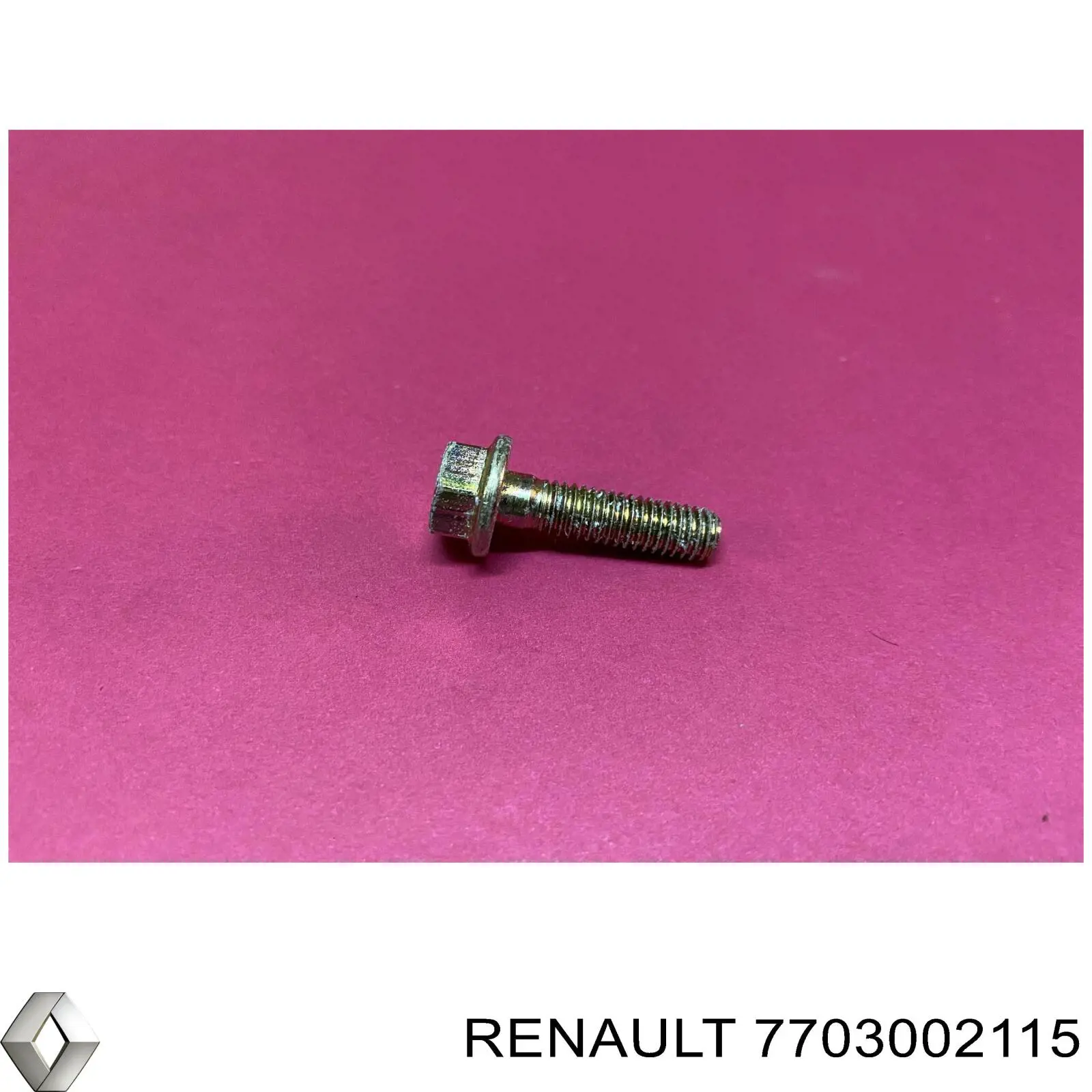 7703002949 Renault (RVI)