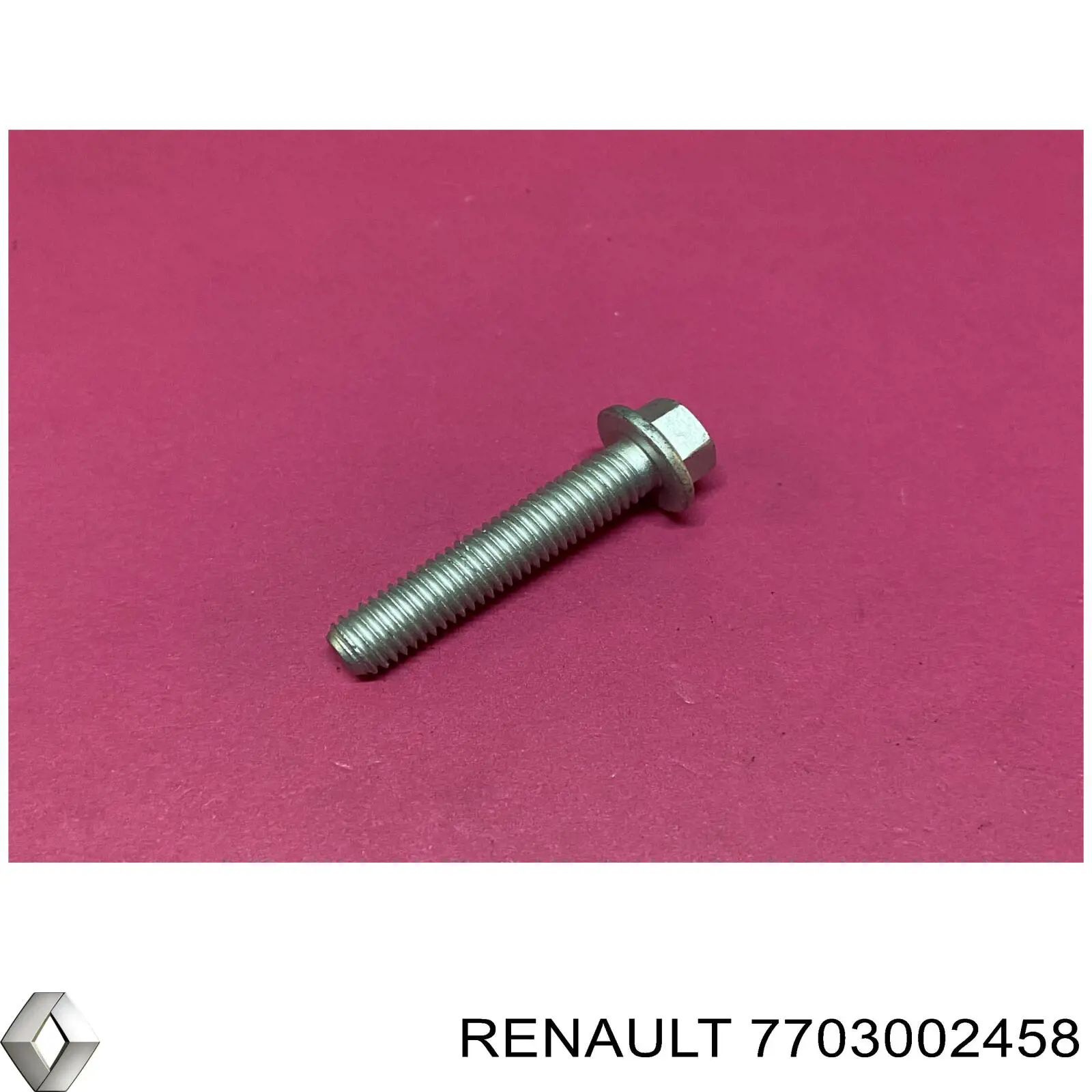  7703002458 Renault (RVI)