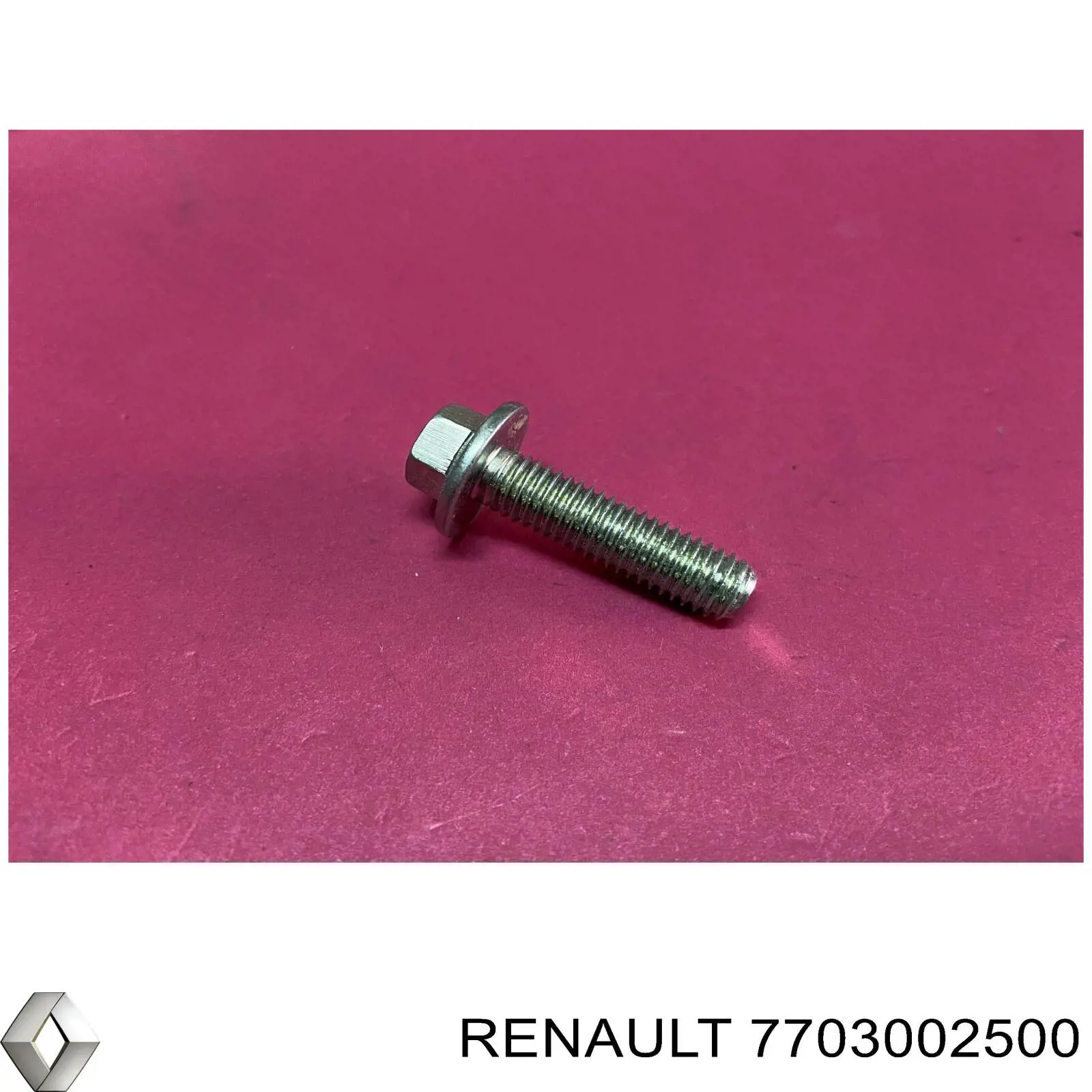 7703002500 Renault (RVI) 