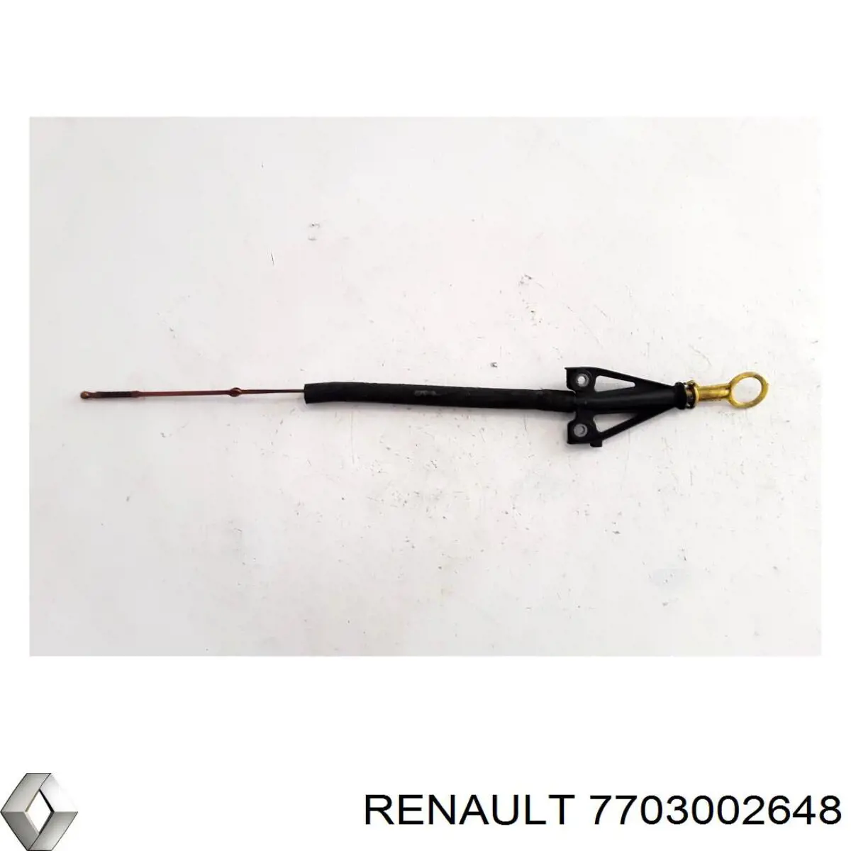  7703002648 Renault (RVI)