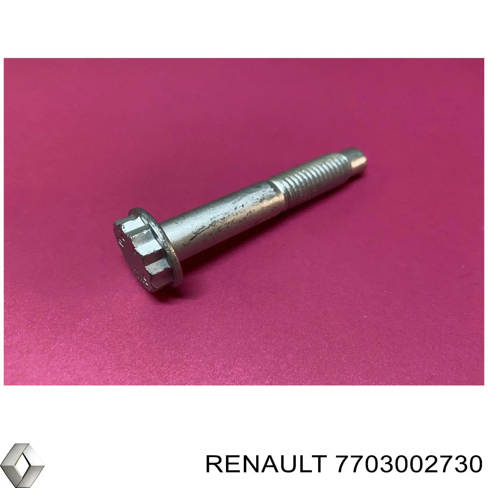 Купить 7703002730 Renault (RVI) Болт крепления амортизатора