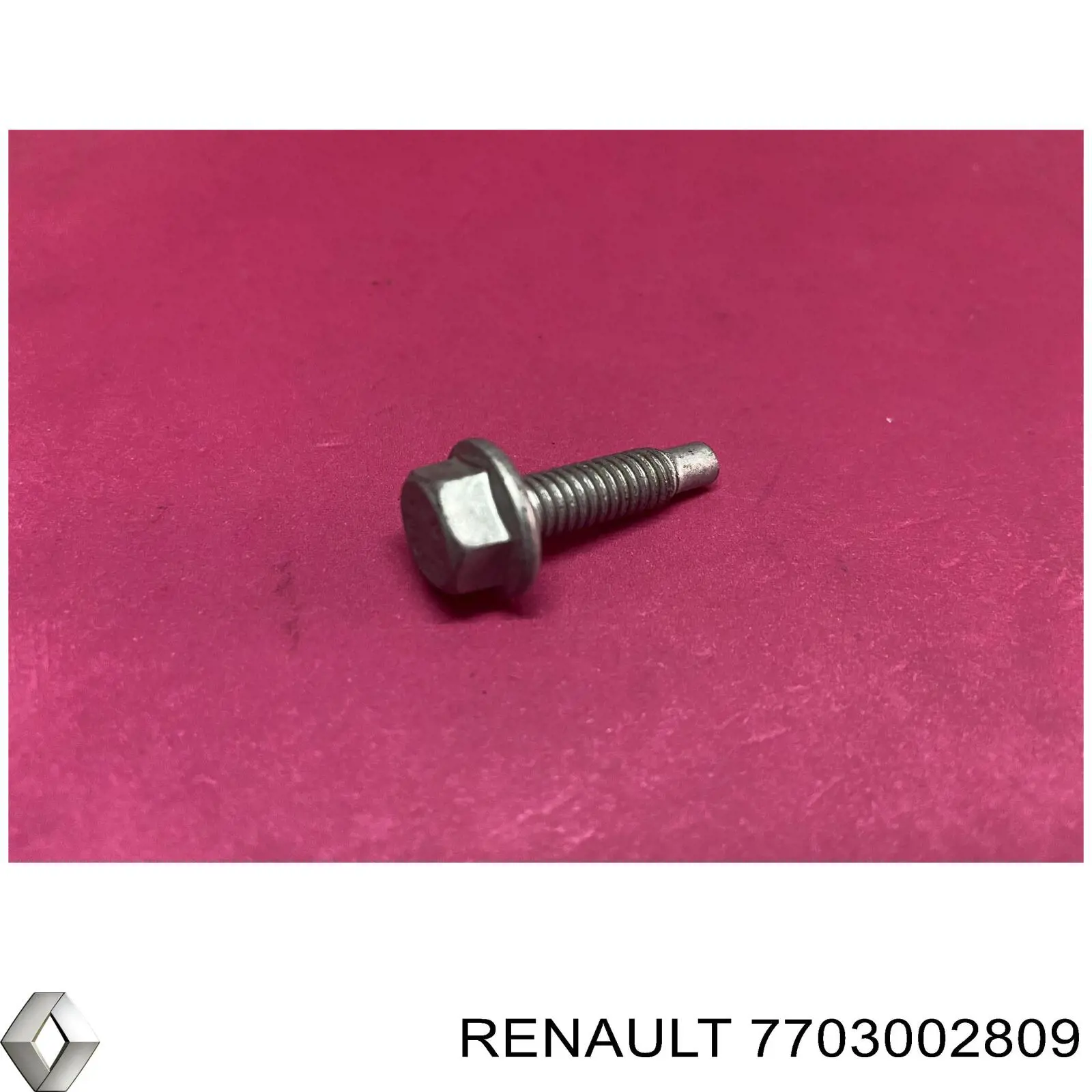 7703002809 Renault (RVI) 