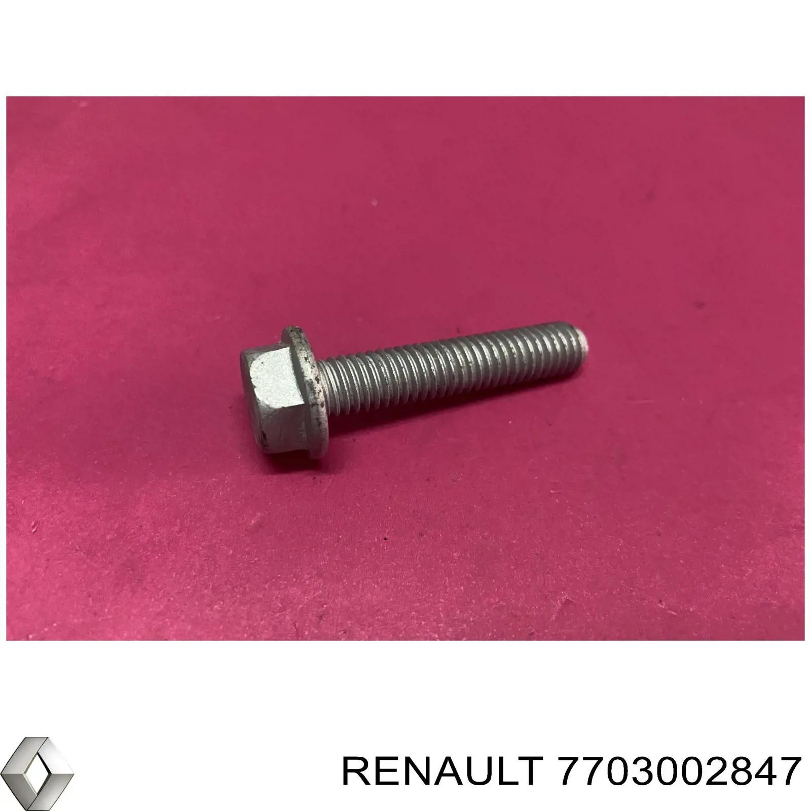  7703002847 Renault (RVI)