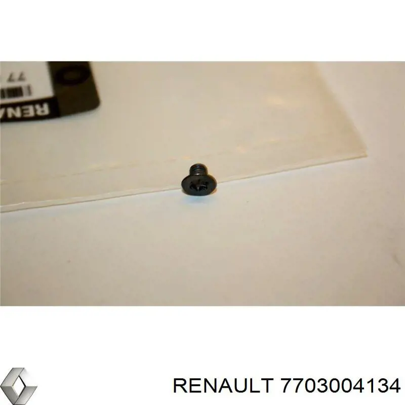 Купить 7703004134 Renault (RVI) 