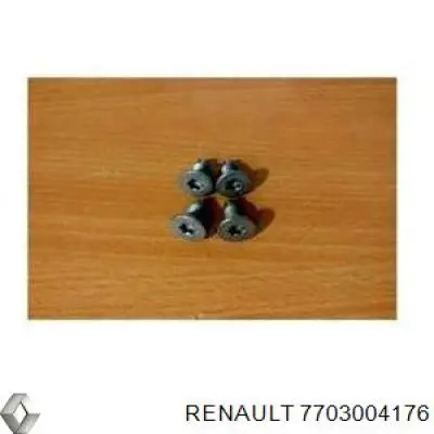 Болт тормозного суппорта Renault (RVI) 7703004176