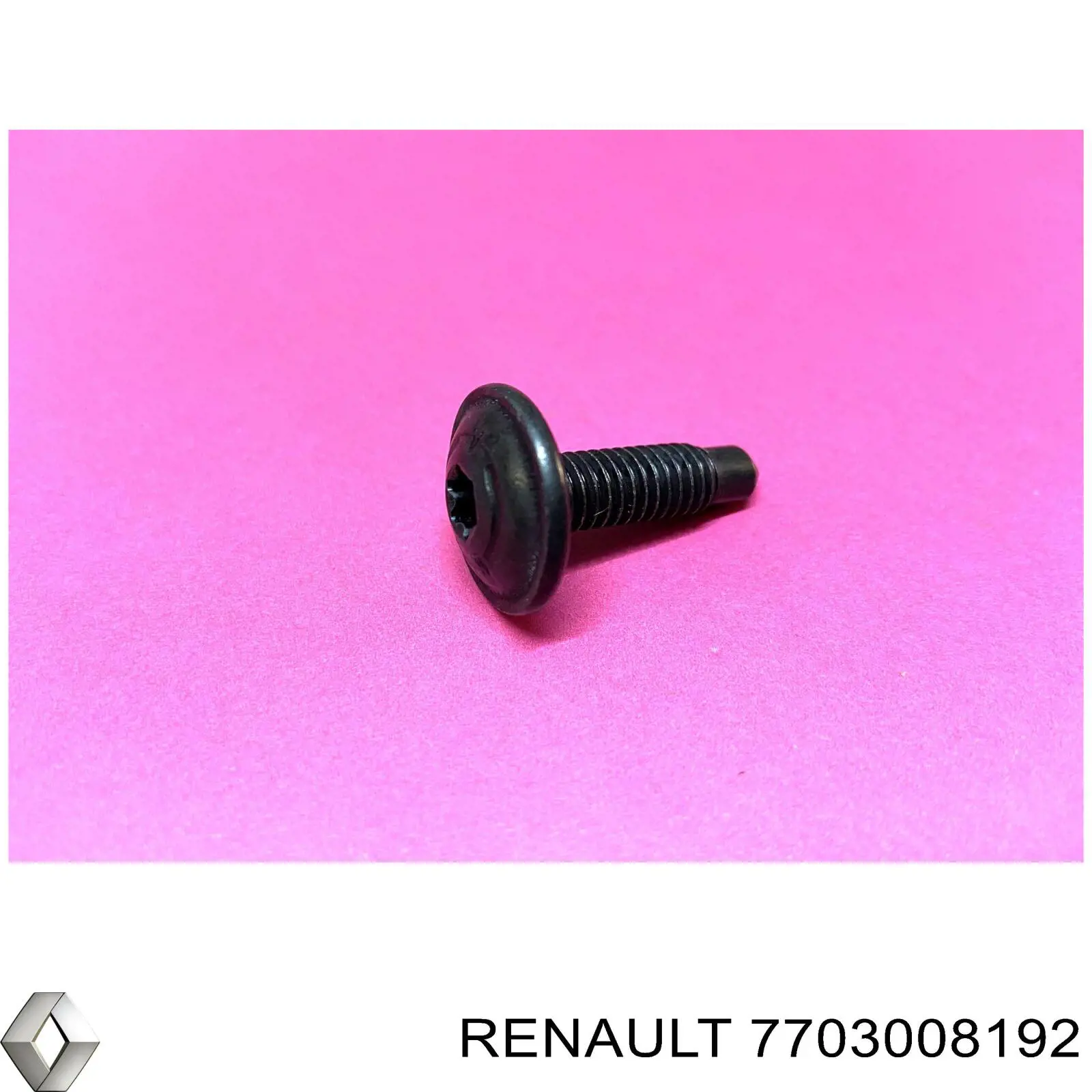 7703008211 Renault (RVI) 