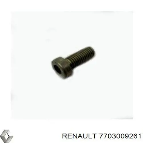 7703009261 Renault (RVI) 