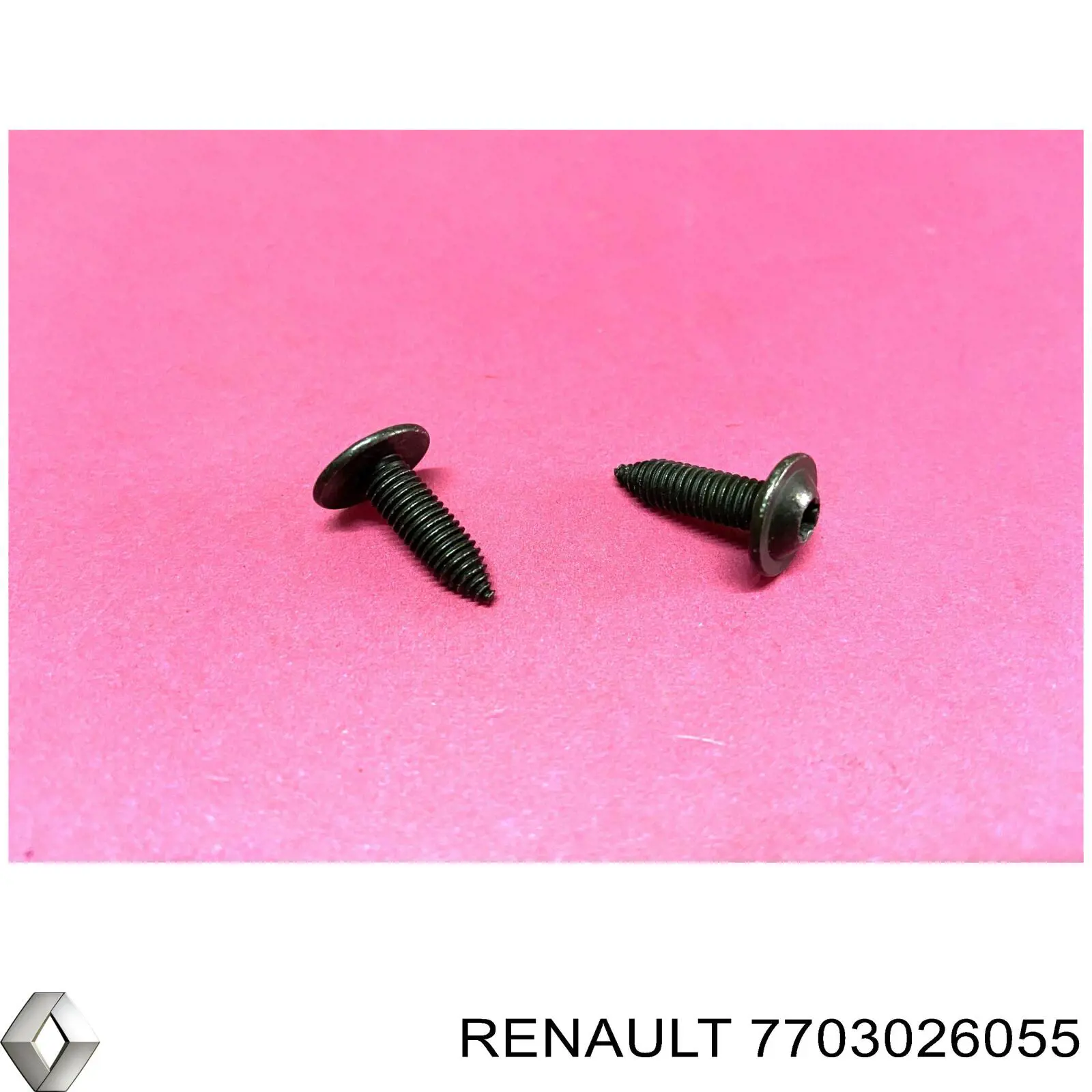 7703026055 Renault (RVI) 