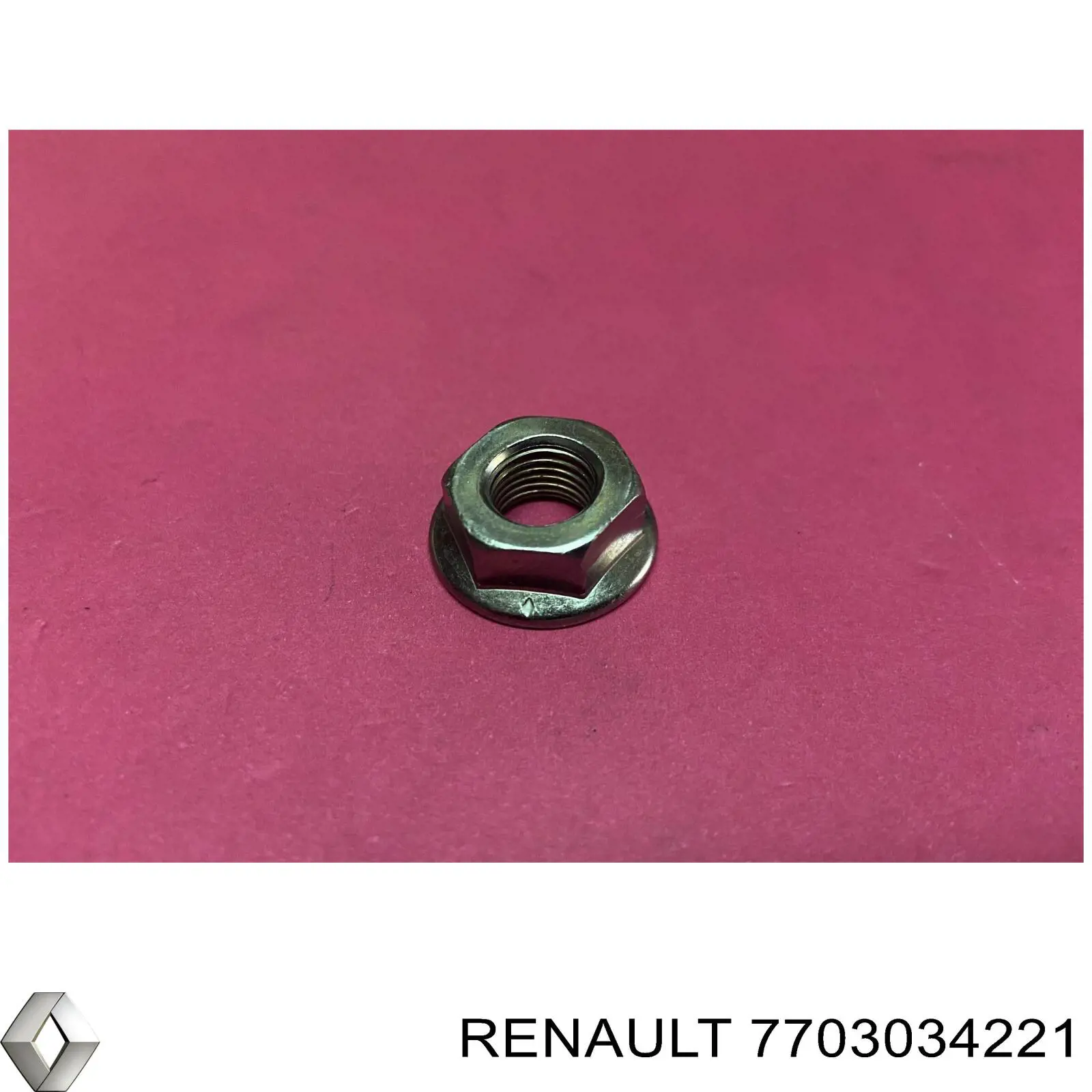 7703034221 Renault (RVI)