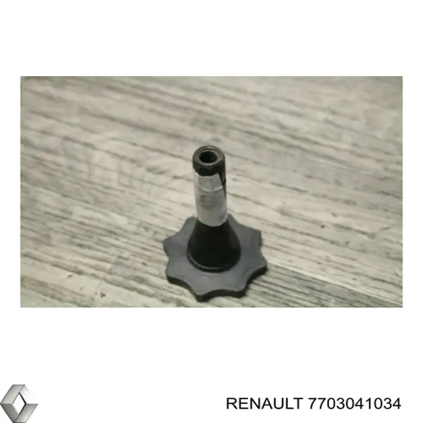 Болт креплення запасного колеса Renault (RVI) 7703041034 цена, от 2.53 USD