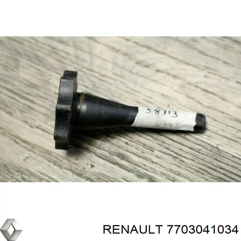 7703041034 Renault (RVI)