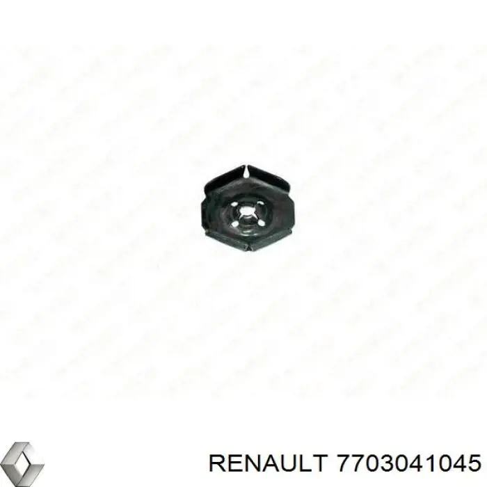 Cápsula (prendedor) de fixação de placas sobrepostas do acesso para Renault DUSTER (HS)