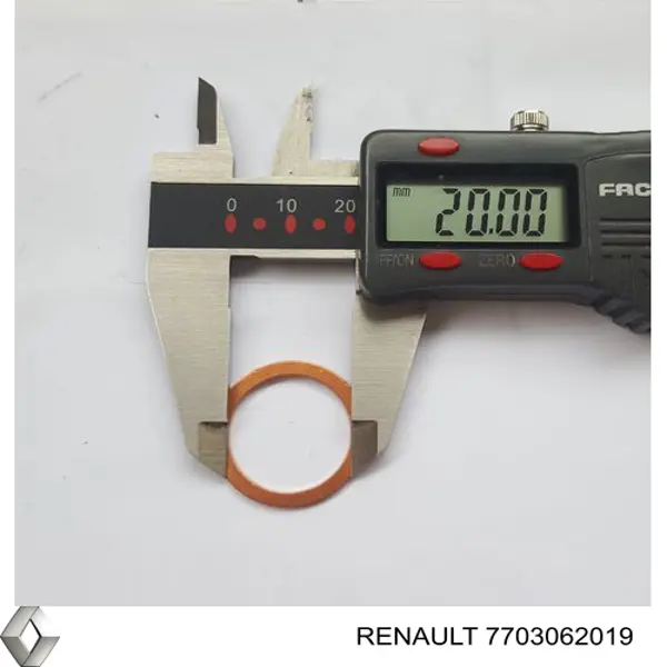  7703062019 Renault (RVI)