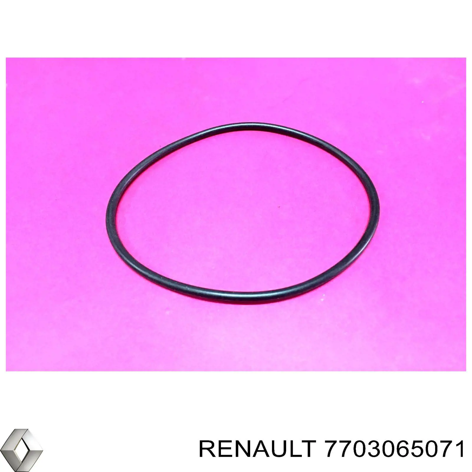  7703065071 Renault (RVI)