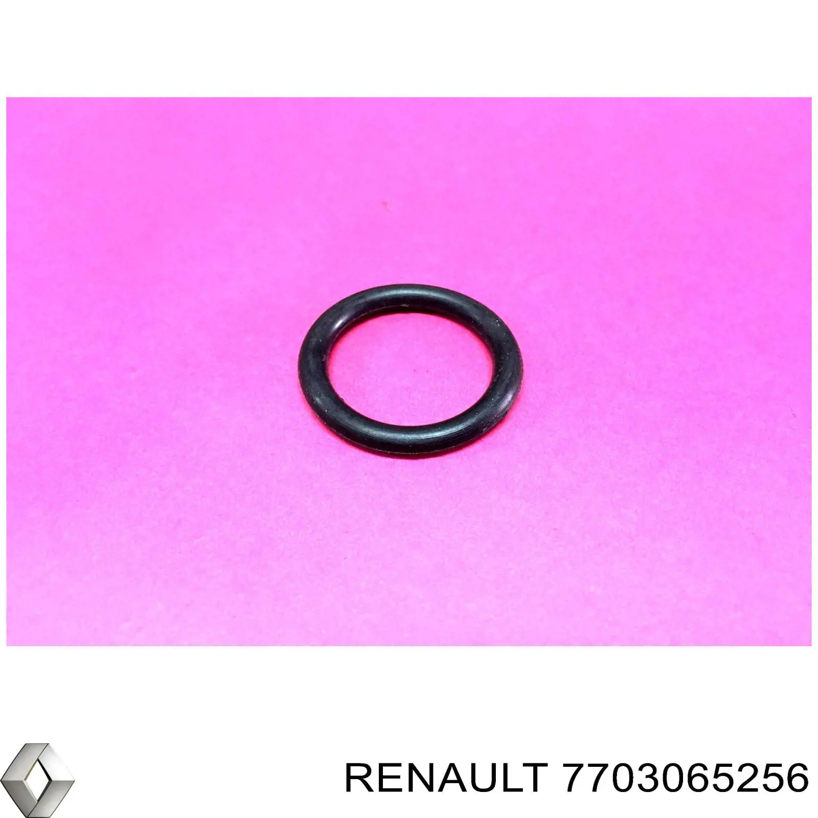 7703065256 Renault (RVI) 