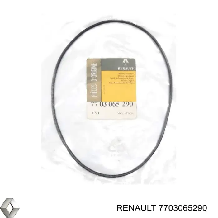 7703065290 Renault (RVI)