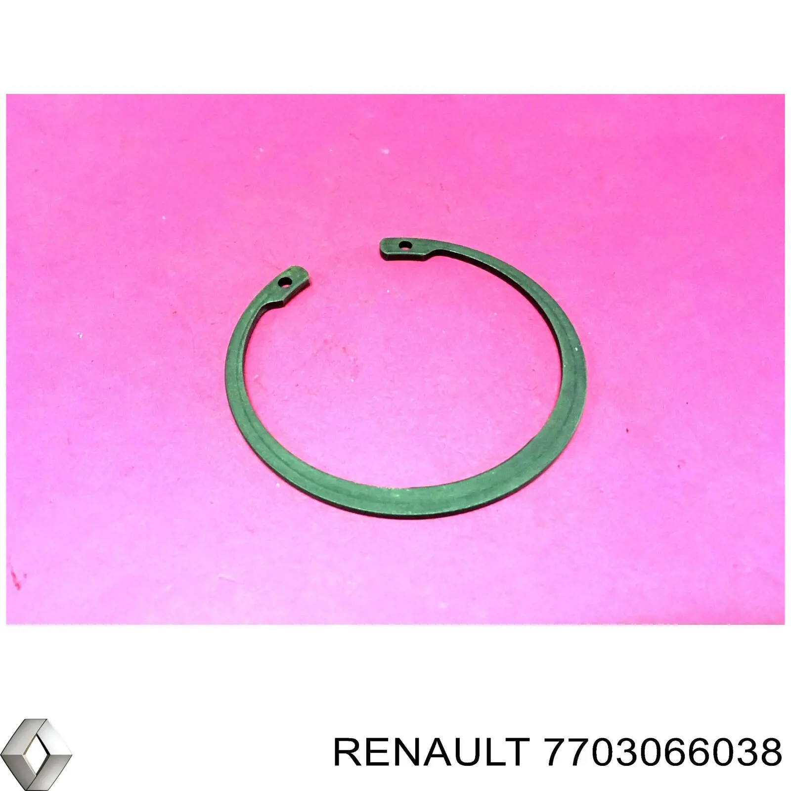 7703066038 Renault (RVI) 