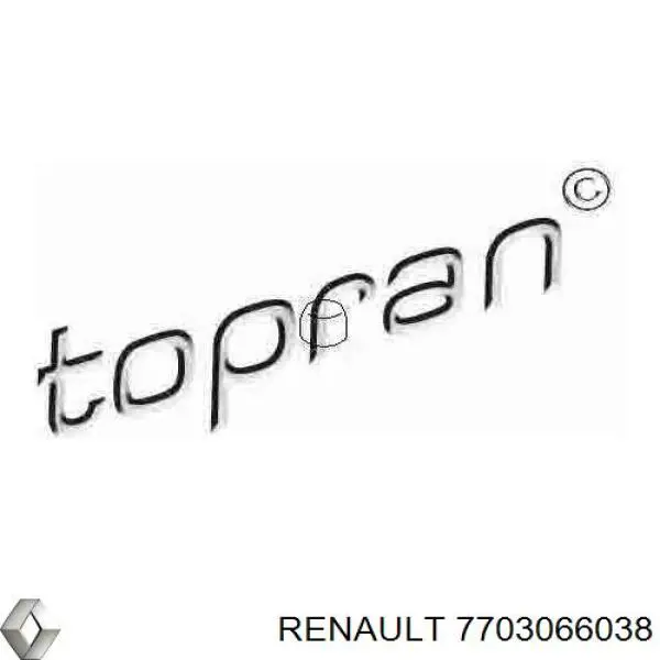  Renault (RVI) 7703066038 цена, от 5.63 USD