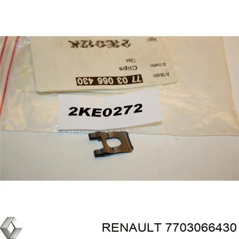 7703066430 Renault (RVI) 