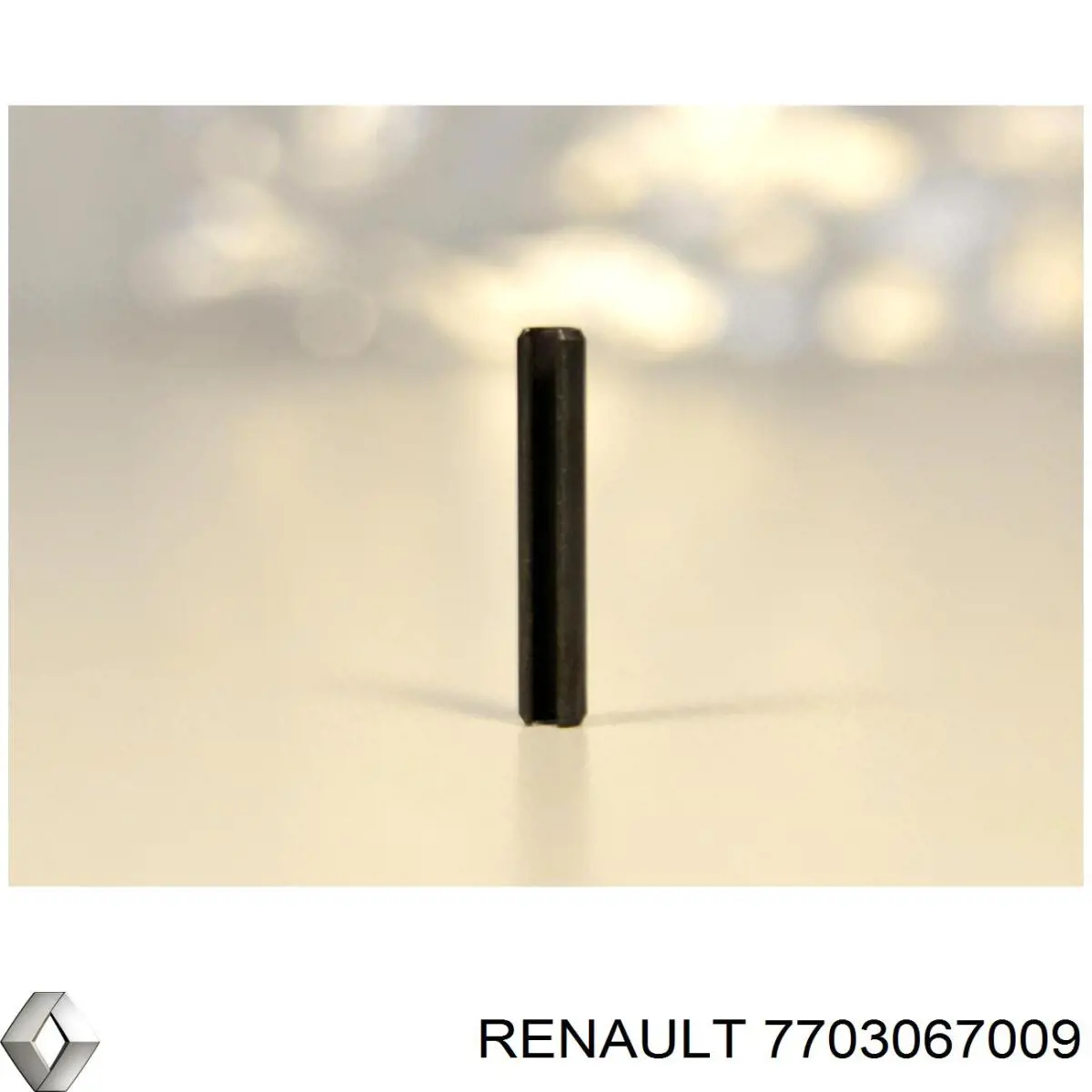  7703067009 Renault (RVI)