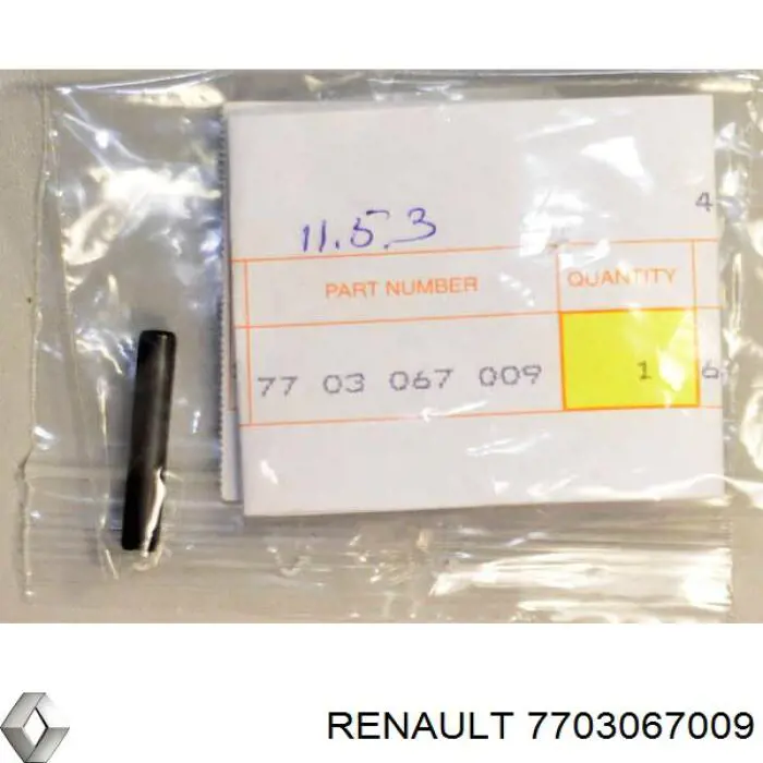  Renault (RVI) 7703067009 цена, от 4.05 USD